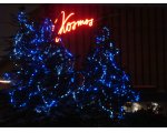 Kosmos