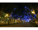 Jõuluallee