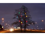 Jõuluaeg