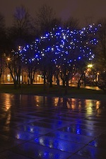 Tammsaare park 3